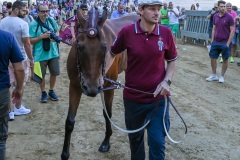 RBX_14-08-26_h08-11_0010-1800x1200