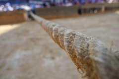 RBX_14-08-26_h08-53_0186-1800x1200