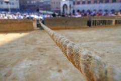 RBX_14-08-26_h08-53_0187-1800x1200