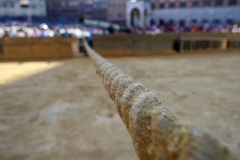 RBX_14-08-26_h08-53_0189-1800x1200