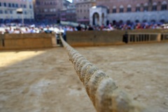 RBX_14-08-26_h08-53_0190-1800x1200