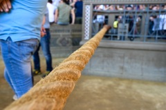 RBX_14-08-26_h08-54_0191-1800x1200