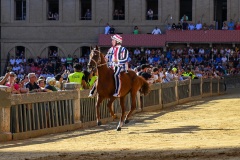 RBX_14-08-26_h09-05_0260-1800x1200