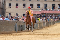 RBX_7967