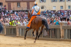 RBX_8019