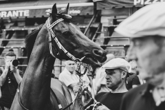 seconda_prova-4