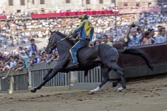 _KKI1557