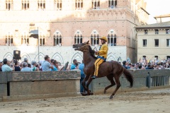 RBX_8592