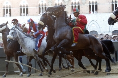 terza prova (91)