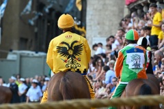 RBX_14-08-26_h19-08_0006-1800x1200