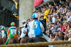 RBX_14-08-26_h19-08_0007-1800x1200