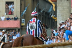 RBX_14-08-26_h19-10_0034-1800x1200