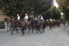 transumando 2015 siena (37)