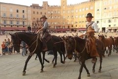 transumando 2015 siena (43)