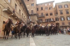 transumando 2015 siena (47)