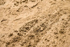 RBX_16-08-26_h16-04_0018-1800x1200