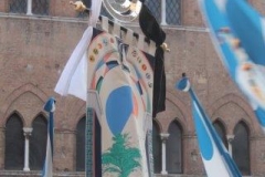 palio 16 agosto 2017 onda (16)