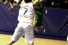 Virtus costone (66)