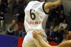 virtus sinergy (15)
