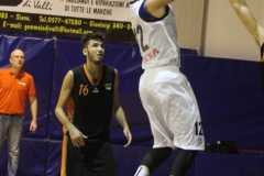 virtus sinergy (84)